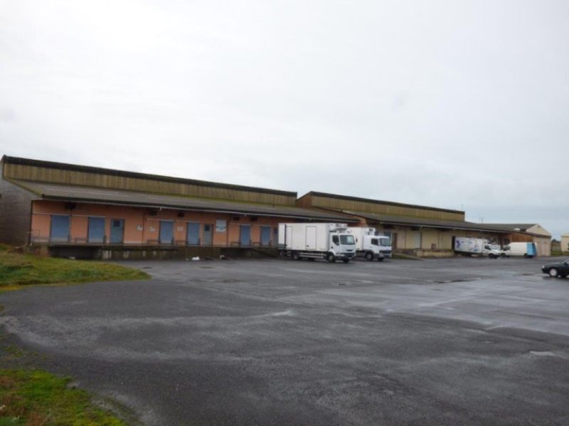 Vente Bâtiment agro-alimentaire