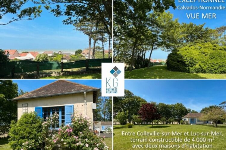 Terrain constructible de 4 200 m2, maison, gîte, dépendances