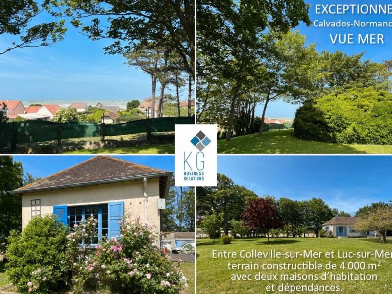 Terrain constructible de 4 200 m2, maison, gîte, dépendances