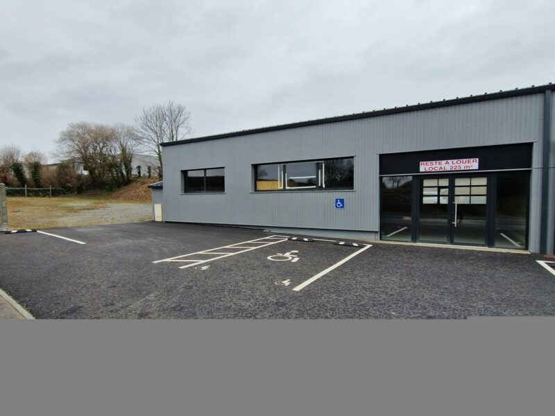 Local commercial à louer 225 M2