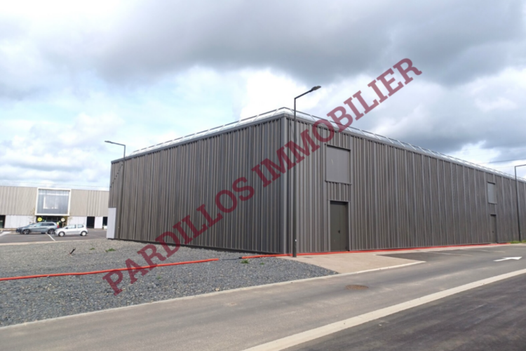 IFS – A Louer – LOCAL D’ACTIVITES NEUF – 220 m²