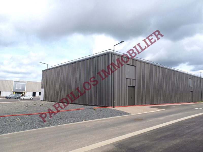 IFS – A Louer – LOCAL D’ACTIVITES NEUF – 220 m²